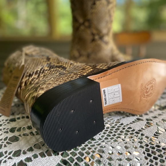 Rare Python Sendras - Picture 9 of 12